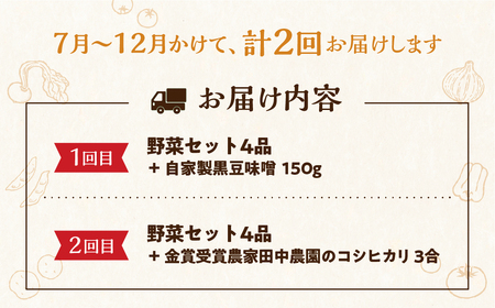 《先行受付》《期間限定》無農薬栽培 受賞農家 野菜セット 4品 3回お届け 定期便 お野菜のレシピ付き [Q795re] 