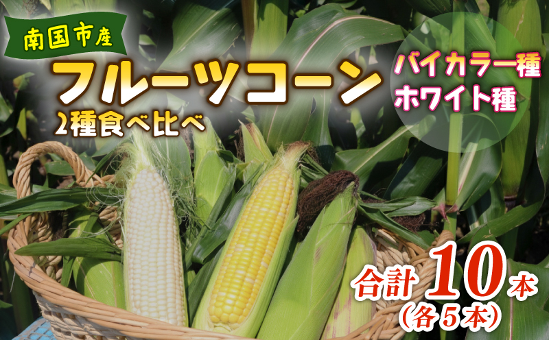 【2027年先行予約】南国フルーツコーン 2種食べ比べ 10本（バイカラー種、ホワイト種、各5本）| とうもろこし トウモロコシ コーン スイートコーン フルーツとうもろこし もぎたて 新鮮 朝採れ 