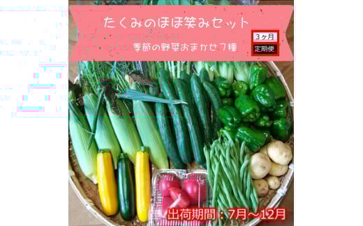 【3ヶ月定期便】旬の野菜7種『たくみのほほ笑みセット』（2025年7～12月出荷／北海道・九州・沖縄県・離島は配送不可） 旬彩 長野県 信州 おまかせ 高原  産地直送 季節 詰合せ 有機 栽培