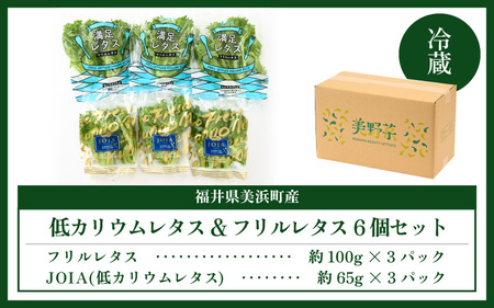美浜の水で育った ピュアレタス 6個セット 低カリウムレタス&フリルレタス【栽培期間中 農薬不使用 野菜 生野菜 レタス 詰め合わせ グリーンリーフ サラダ サンドイッチ お弁当 水耕栽培 洗わず食べ