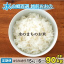 【ふるさと納税】【令和6年産 新米】【6ヶ月定期便】こしひかり 15kg×6回 計90kg（白米）「エコファーマー米」−水のまちのお米−　【定期便・お米・コシヒカリ・米・6ヶ月連続・6回・計90kg】[J-003002] | コンシェルジュ