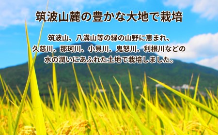 令和5年産茨城県産コシヒカリ　精米　合計10kg (5kg×2袋)※離島への配送不可