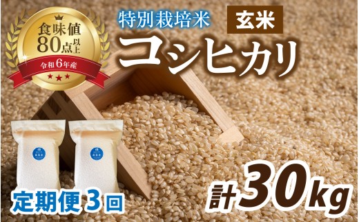 【3ヶ月連続お届け】【 令和7年産 】南条米 特別栽培米コシヒカリ 真空パック 玄米 10kg(5kg×2袋)×3ヶ月 (計30kg)｜ お米の定期便