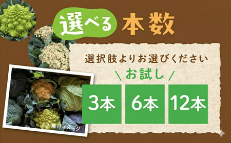 ロマネスコ　3個