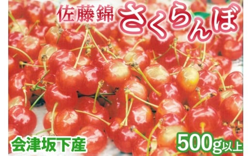 45-A 会津坂下産 さくらんぼ（佐藤錦）｜ 500g以上 3Lサイズ 冷蔵便 サクランボ 佐藤農園 化粧箱　※2026年6月下旬頃～7月上旬頃に順次発送