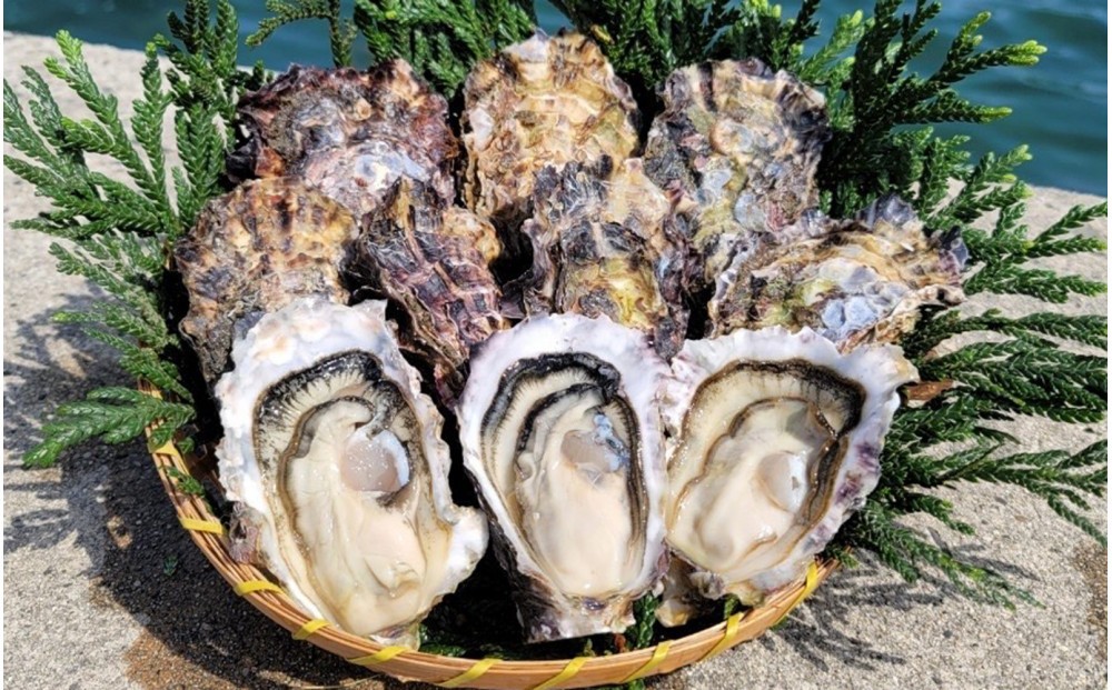 
                  能登穴水の牡蠣（むき身）　加熱用　1.0kg
                