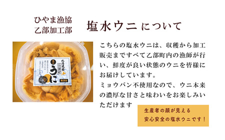 ＜ひやま漁協　塩水ウニ2パック（100g×2）＞北海道 日本海 乙部町 雲丹 ウニ うに 養殖 ミョウバン不使用 海産物 国産 