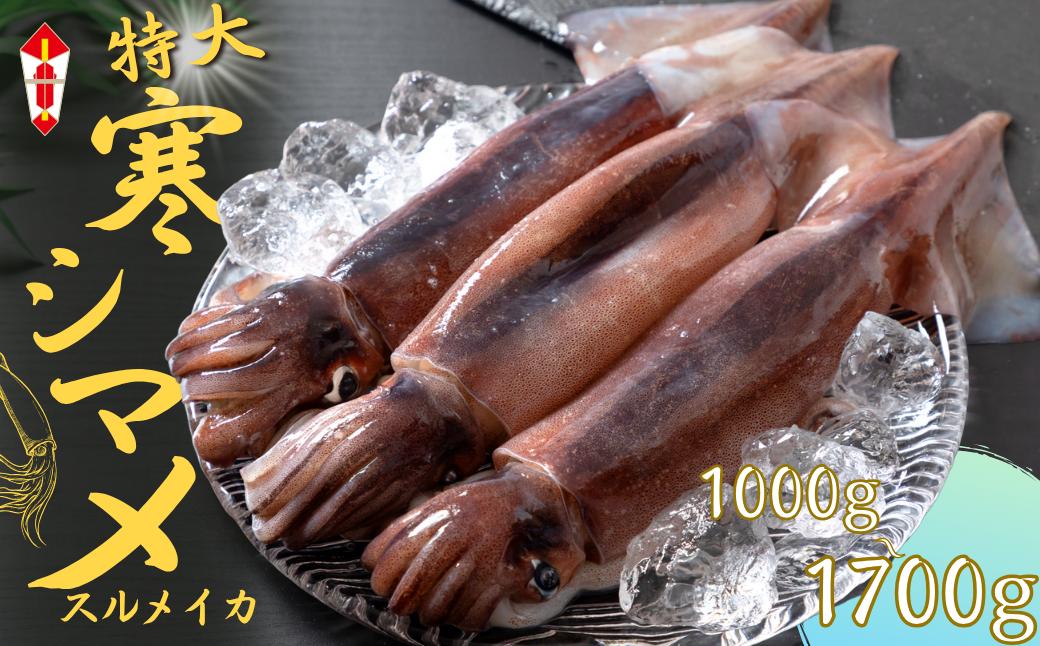
                  【のし付き】【朝どれ寒シマメ 特大サイズ】 1kg以上 いか イカ スルメイカ 朝どれ寒シマメ 御歳暮 ギフト
                