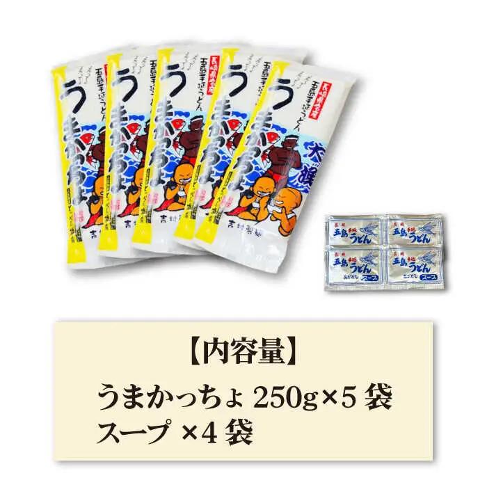 五島うどん 5袋（うまかっちょ）スープ付き/ 五島うどん[RAU017] 五島うどん うどん 五島うどん うどん 五島うどん うどん 五島うどん うどん 五島うどん うどん九州 長崎
