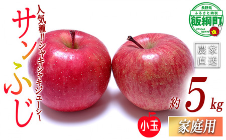 りんご サンふじ (小玉) 家庭用 5kg 一里山農園 沖縄県への配送不可 2026年12月上旬頃から2026年12月中旬頃まで順次発送予定 令和8年度収穫分 エコファーマー 減農薬栽培 信州 果物 