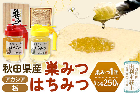 小松養蜂場 はちみつ 秋田県産 100％ 巣みつ(アカシア)  +アカシア・栃はちみつ各 250g セット