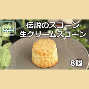 伝説 生クリームスコーン 8個（AR-11）