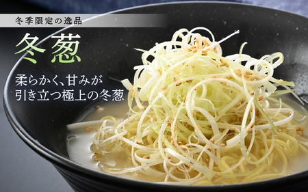 【先行予約】 日本海の白ネギ（ギフト箱） 3本～5本 【2026年9月下旬以降順次発送予定】 葱 ねぎ [A-2610]