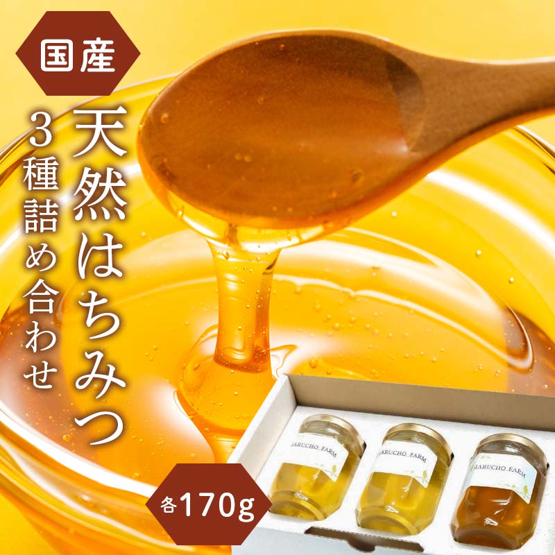 【ふるさと納税】はちみつ 3種詰め合わせ 510g(170g×3) 伊達市産 国産 天然 蜂蜜 ハチミツ ハニー F21C-684