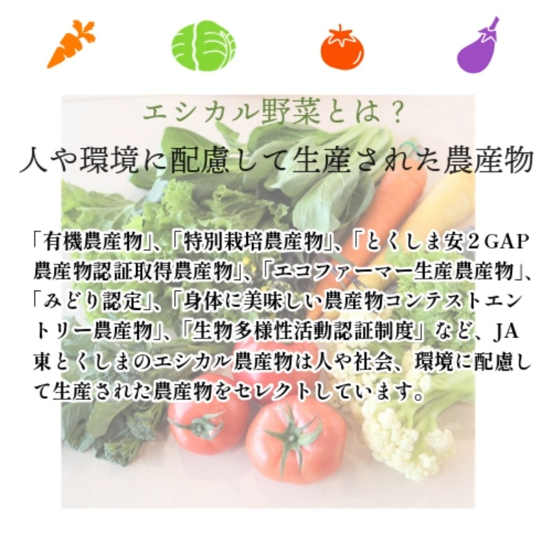 旬のエシカル野菜5～7種セット 野菜 おまかせ 新鮮 採れたて 産地直送 やさい とうもろこし トマト 減農薬 きのこ オクラ 玉ねぎ 美味しい 小松島市