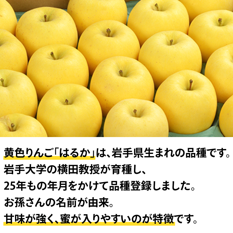 りんご はるか 「純情はるか」約2.5kg 糖度14度以上【先行予約 12月発送予定】数量限定 岩手県産 りんご リンゴ 林檎 はるか フルーツ くだもの 果物 訳あり 自家用 家庭用 【冬恋研究会】