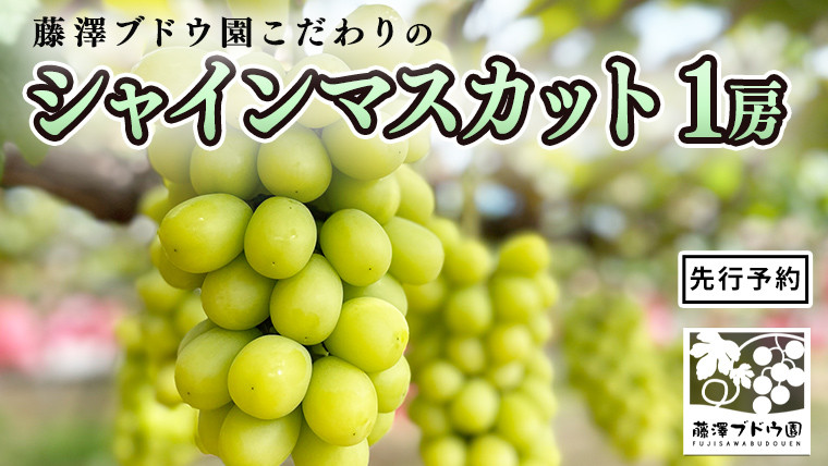 
            【 藤澤ブドウ園 】 こだわり の シャインマスカット 1房 約700g 2025年産 先行予約 ぶどう ブドウ 葡萄 フルーツ [AH005ci]
          