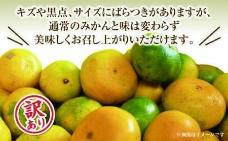 訳あり 由良 みかん 約2kg フルーツ 柑橘 オレンジ 果物 数量限定 国産 蜜柑