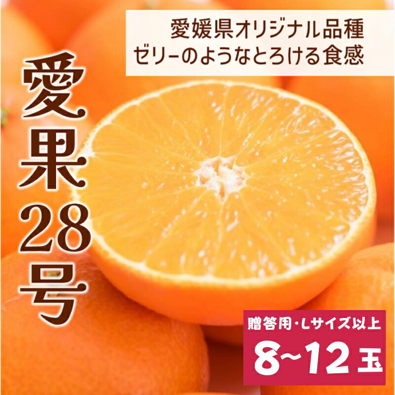 【ふるさと納税】【2026年先行予約】みかん愛果28号 8〜12玉 Lサイズ以上 贈答用 紅まどんな同一品種 【2026年12月以降順次発送予定】 愛媛 数量限定 愛媛県産 人気 柑橘 フルーツ 国産 おすすめ 伊予市｜C183