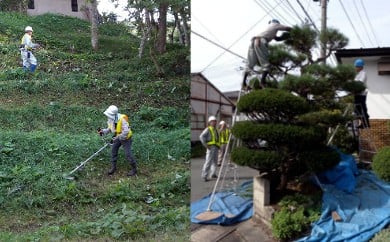 
イーハトーブ空家管理代行空き家・空き地の管理安心サービス（草刈り・庭木剪定・枝切） 【166】
