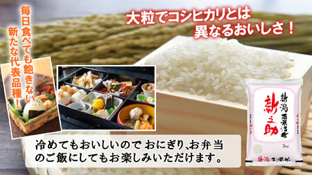 【令和7年産新米予約】【C-12定期便】南魚沼産新之助5kg×12回【2025年11月中旬より順次発送予定】
