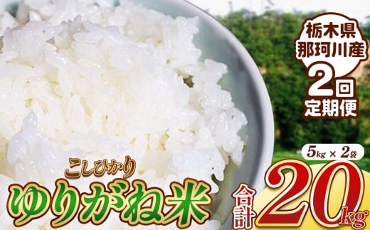 【定期2回】ゆりがね米 10kg｜コシヒカリ 米 白米 おいしい お米 こめ おこめ 白米 精米 国産 ごはん ご飯 白飯 米 おこめ 白米 精米ゴハン ランキング 人気  ふるさと 納税 栃木県 那珂川町 送料無料