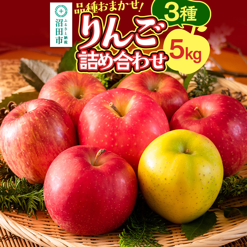 《10月中旬～11月下旬発送》品種おまかせ りんご詰め合わせ 3種 5kg 真田りんご園