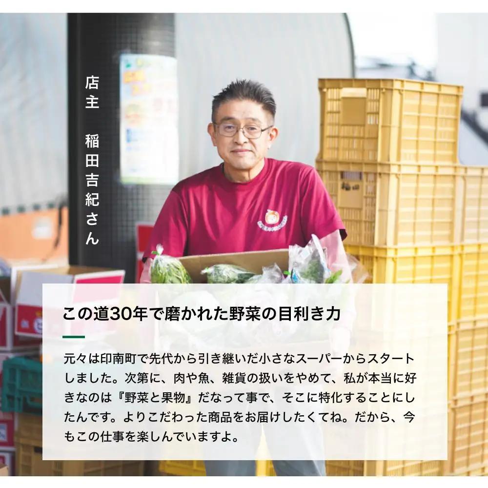 野菜セット 旬の新鮮野菜8種以上 印南町 人気 やさい　
