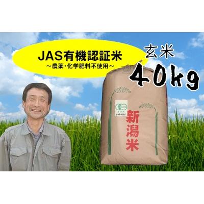 ふるさと納税 阿賀野市 【令和8年産新米先行受付】JAS有機認証米 コシヒカリ 玄米 40kg