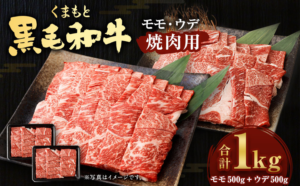 くまもと 黒毛和牛 焼肉用 モモ ウデ 各500 計1㎏ 国産 赤身