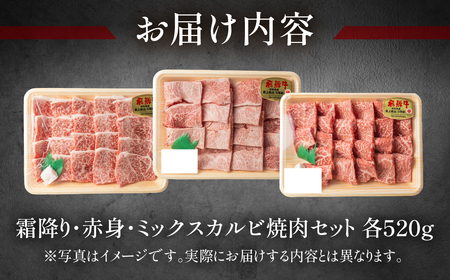 飛騨牛本日の霜降り・赤身・ミックスカルビ焼肉セット 各520g  牛肉 国産 ブランド牛【11-36】【冷凍】