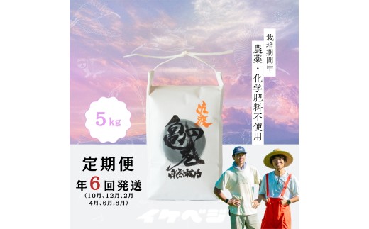 【6回定期便】佐渡産 亀の尾 白米5kg 令和8年産 特別栽培米 在来品種 | 新潟県産亀の尾 新潟産亀の尾 新潟亀の尾 佐渡産亀の尾 新潟県産かめのお 佐渡産かめのお 在来種 お米 米 白米 はくまい おこめ コメ 5キロ にいがた さど 新潟県 佐渡市
