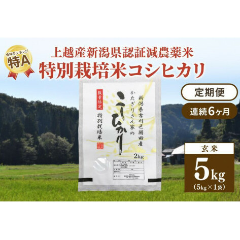 定期便 6ヶ月 新潟県認証減農薬米 特別栽培米 コシヒカリ 玄米 5kg 米 お米 こめ こしひかり 新潟 上越