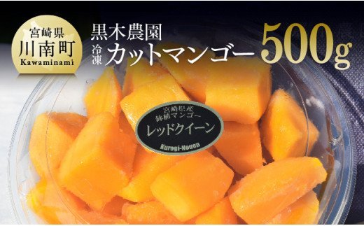 宮崎県産マンゴー　黒木農園の冷凍カットマンゴー（種なし）500g 【 レッドクイーン マンゴー 果物 フルーツ スイーツ 季節限定 】 [C03202]
