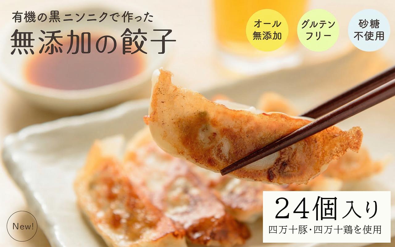 黒 にんにく と 四万十豚 で作った 最高級餃子 （ 6個入り × 4 パック ） 餃子 ギョーザ 焼き餃子 やきぎょうざ ぎょーざ こだわり 大容量 冷凍 冷凍餃子 簡単 調理 簡単調理 惣菜 冷凍食品 おかず 弁当 中華 中華料理 料理 高知県 須崎市 EA0８３１_2x