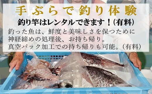 【釣り堀ハマカツ】1名釣り堀利用券(男性1名)【E2-004】 釣り 釣り堀 釣堀 海上 海釣り 魚釣り ブリ 鰤 タイ 鯛 ハマチ ヒラマサ 持ち帰り 釣り放題 エサ 餌 レンタル アウトドア