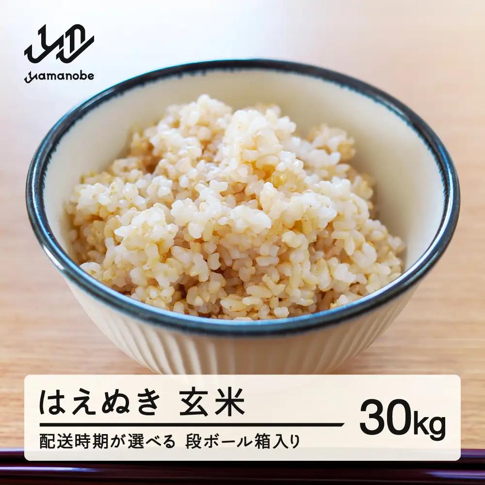 《先行予約》 2026年産 令和8年産 山形県産 はえぬき 玄米 30kg （2026年11月前半にお届け）（段ボール箱入り）お米 ブランド米 こめ コメ ※沖縄・離島への配送不可 ff-hagxb30-11f