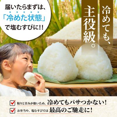 ふるさと納税 亀岡市 【毎月定期便】農家直送 京都丹波産 コシヒカリ 精米 10kg(10kg×1袋)全6回 |  | 01