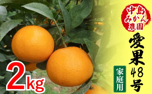 【2027年3月下旬から順次発送】 愛果48号 家庭用 2kg | あいか 家庭用 紅プリンセス と同品種 高級 蜜柑 ミカン みかん ジューシー 甘い  柑橘  人気 お取り寄せ  期間 数量 限定 愛媛 松山 中島みかん農園