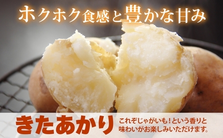 北海道 洞爺湖町産 新じゃがいも きたあかり 約10kg  Mサイズ以上混載 2026年10月初旬より順次出荷 北海道産 新じゃが じゃがいも ジャガイモ 馬鈴薯 旬 野菜 農作物 送料無料 産地直送