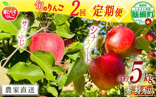 旬のりんご 【 定期便 】 秀 〜 特秀 5kg × 2回 葉とらずりんご フレッシュフルーツミカズキ 2026年10月中旬頃から2026年12月中旬頃までお申込み順に発送予定 令和8年度収穫分 リンゴ アップル シナノスイート サンフジ サンふじ 長野県 飯綱町 [2006]