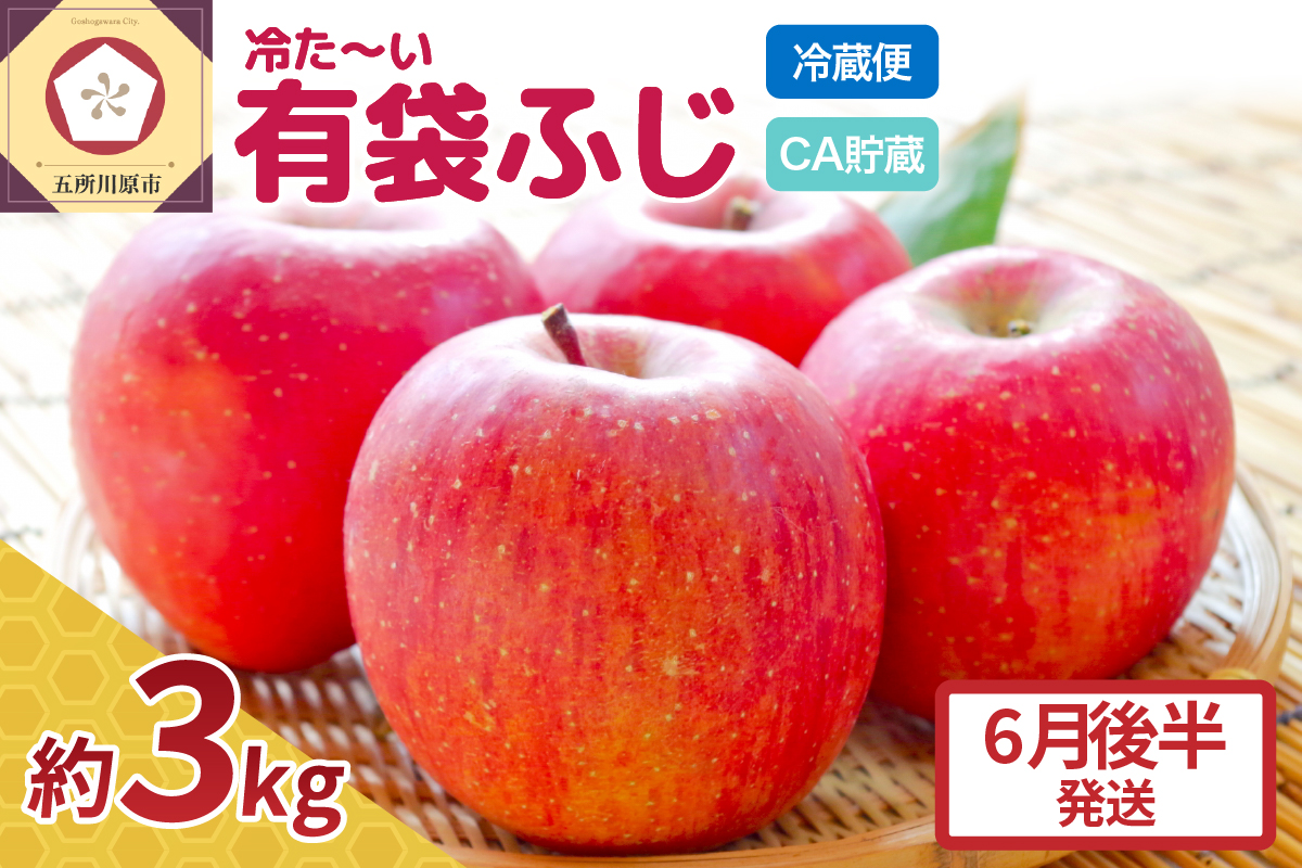 【6月後半発送】りんご ふじ 贈答用 約 3kg 【 配送時期が選べる 】 冷た～い 有袋ふじ 【 有袋栽培 CA貯蔵 クール便 果物類 林檎 リンゴ ふじりんご フルーツ 青森 五所川原 】