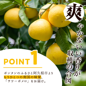 ＜先行予約受付中！2027年2月下旬以降順次発送予定＞＜訳あり・傷あり＞数量限定！サワーポメロ(約7kg) 国産 フルーツ 果物 柑橘類 サワーポメロ 甘味 酸味 デザート おやつ 訳あり【なかむら果