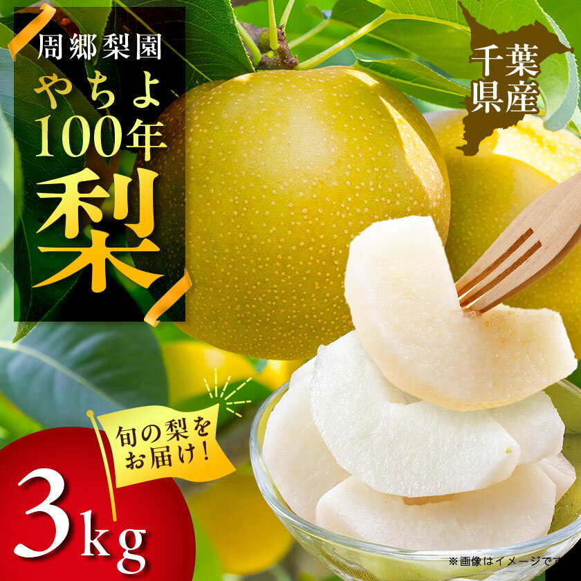 【ふるさと納税】周郷梨園のやちよ100年梨(3kg)【1493887】