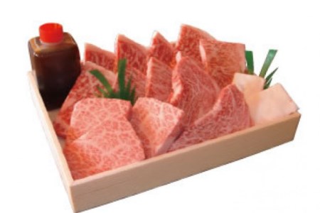 定期便 12回 牛肉 雲仙育ち おがわ牛 A5 特選 ロース 極厚焼肉 総計8.4kg(700g×12回) 黒毛和牛 冷凍 / 焼肉おがわ / 長崎県 雲仙市