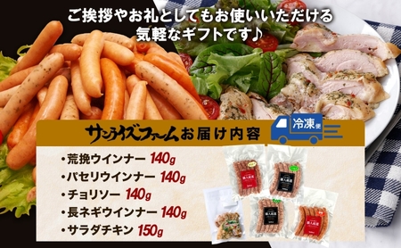 自家製ソーセージギフト 豚肉 ウィンナー あらびき パセリ チョリソー 長ネギ サラダチキン 肉厚 ジューシー 夕食 ご飯 おかず おつまみ お酒 送料無料 サンライズファーム 千葉県 香取市 KTR