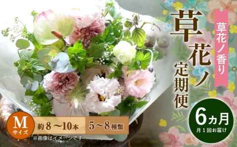 【定期便 6ヶ月】草花ノ定期便 Mサイズ 5～8種類 約8～10本