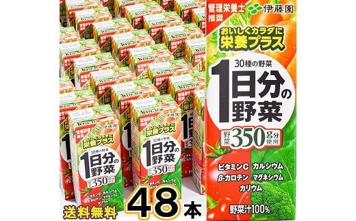 【10営業日以内発送】伊藤園 1日分の野菜 200ml×48本（24本×2ケースセット） スピード発送 紙パック 野菜ジュース 伊藤園 1日分の野菜 野菜ジュース　023-G-IT007