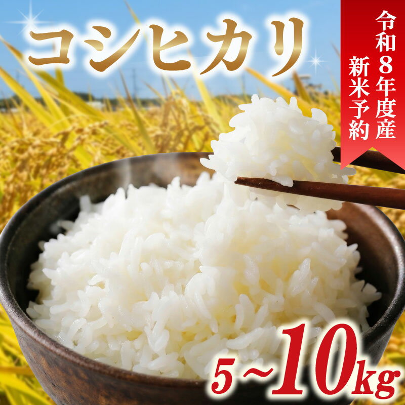 【ふるさと納税】 令和8年産 新米 米 コシヒカリ 5kg 10kg 先行予約 精米 白米 新米5kg 新米10kg 2026年度 8年産 お米 ご飯 こめ コメ kome ライス こしひかり 10000円 20000円 備蓄 防災 お弁当 産地直送 送料無料 国産 千葉県産 ふるさと納税 千葉県 旭市 小島農園