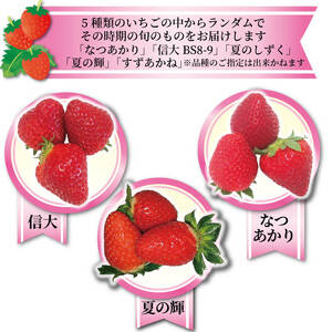 いちご 2種 400g (200g×2) 6～12月お届け 苺 果物 くだもの フルーツ おやつ ストロベリー strawberry 岩手県 大船渡市